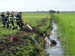 Prio 2 Dier te Water Paard Dykhuzen Gerkesklooster